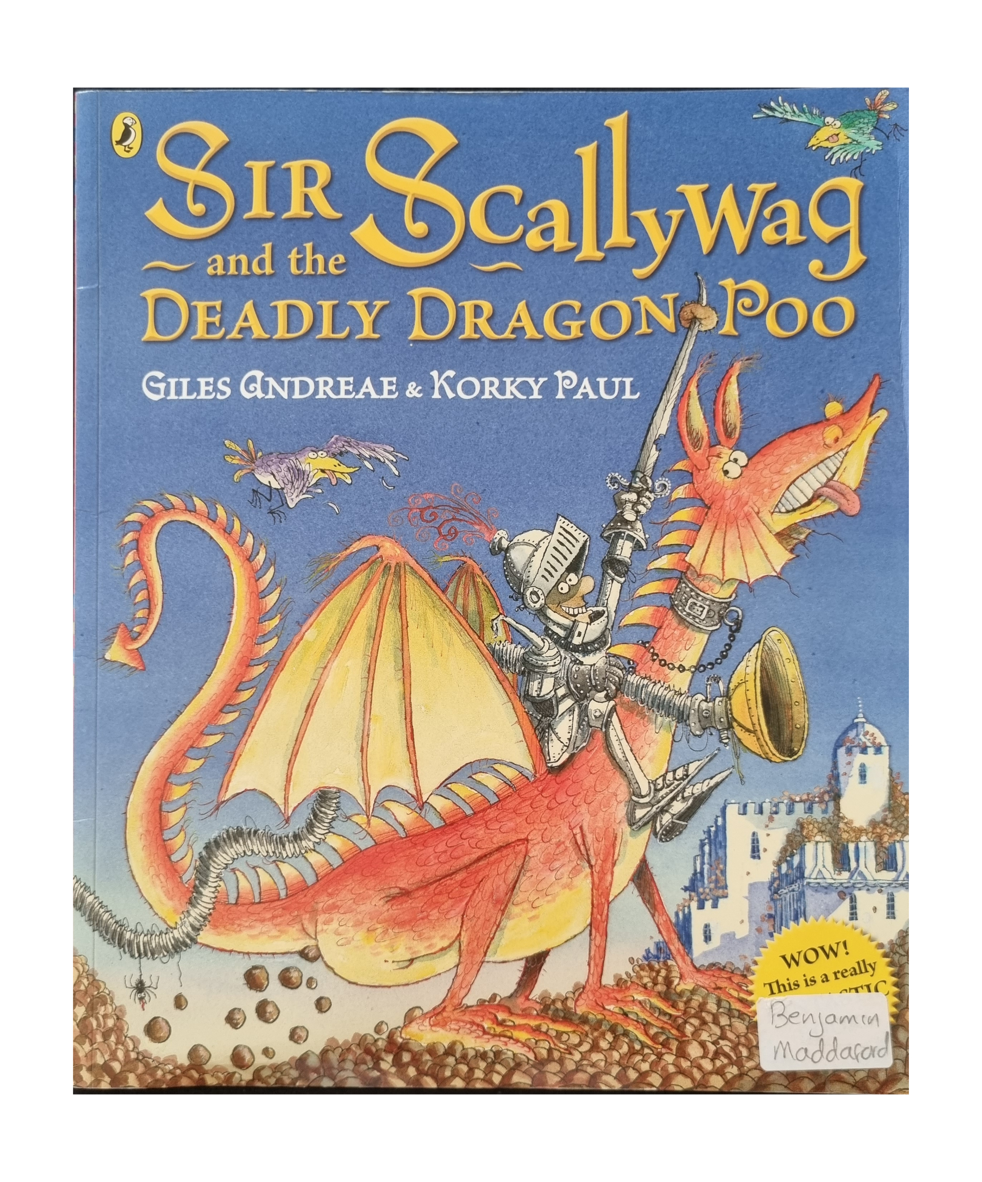 Sir Scallywag and the Deadly Dragon Poo