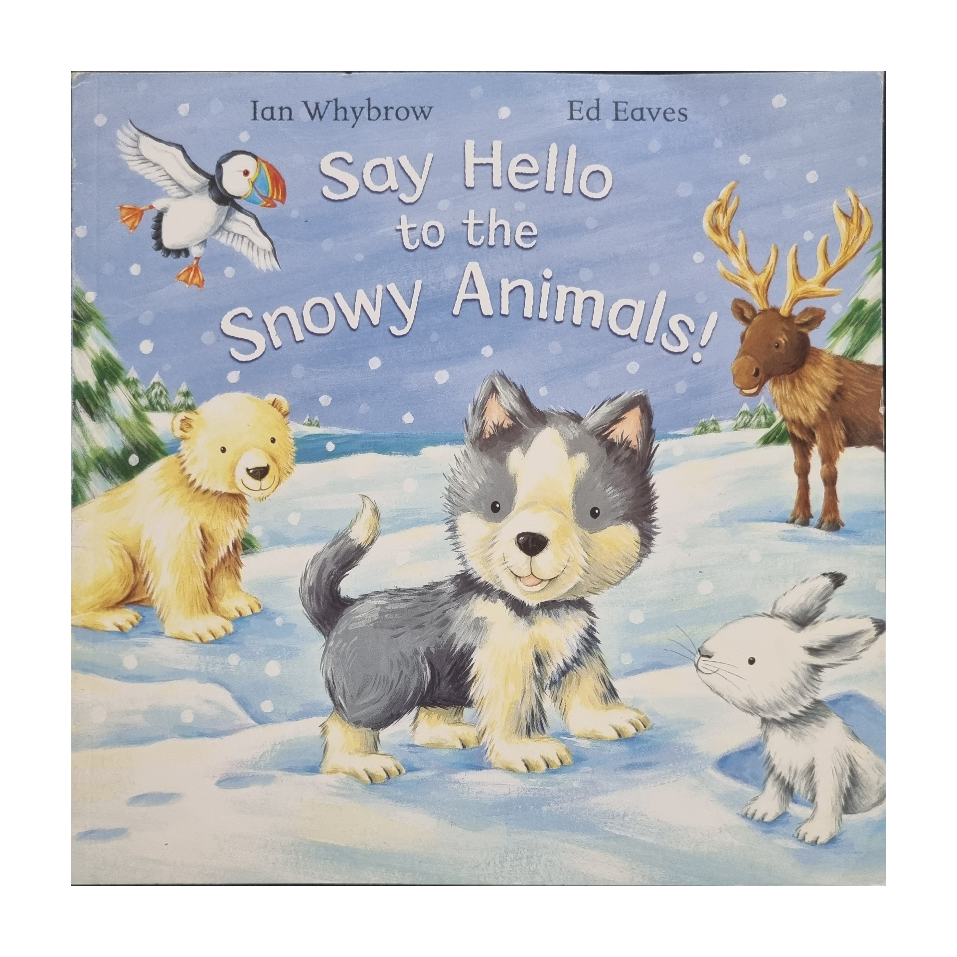 Say Hello to the Snowy Animals!